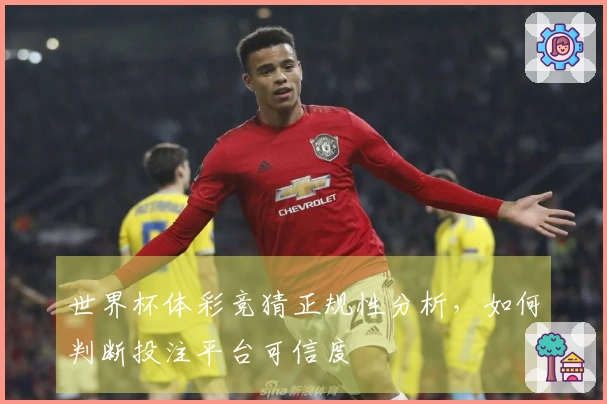 世界杯体彩竞猜正规性分析,如何判断投注平台可信度